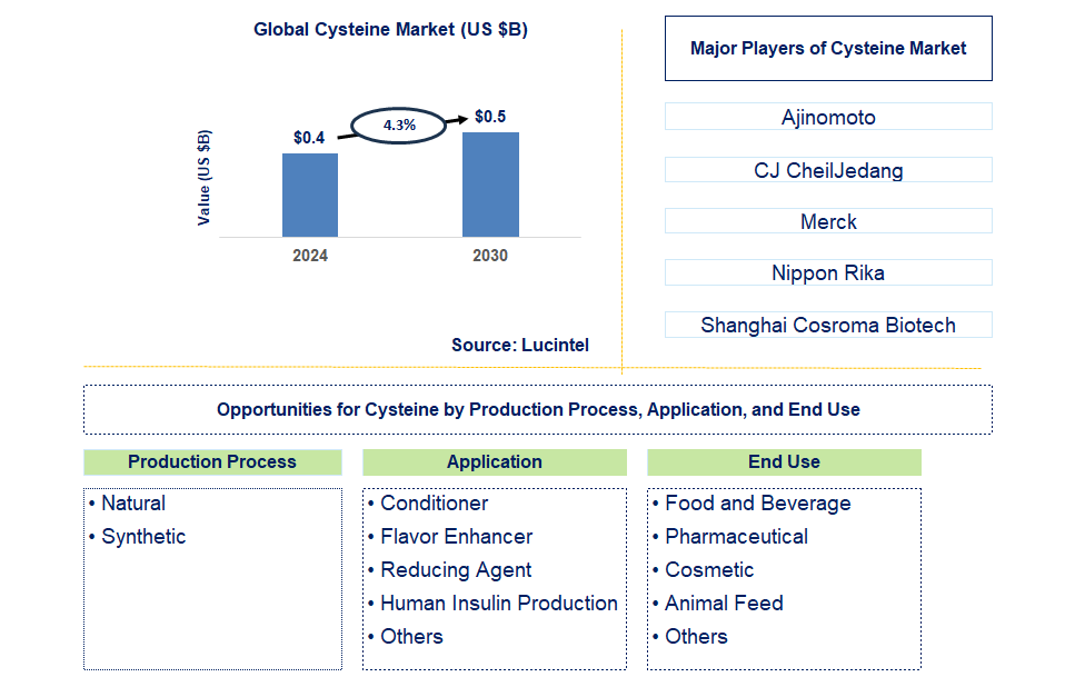 Cysteine Trends and Forecast